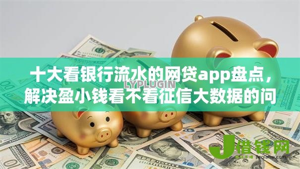 十大看银行流水的网贷app盘点，解决盈小钱看不看征信大数据的问题