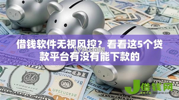 借钱软件无视风控？看看这5个贷款平台有没有能下款的