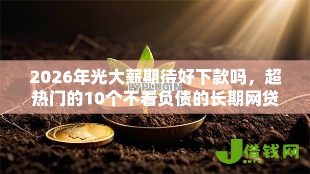 2026年光大薪期待好下款吗，超热门的10个不看负债的长期网贷口子推荐