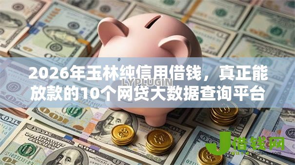 2026年玉林纯信用借钱，真正能放款的10个网贷大数据查询平台推荐
