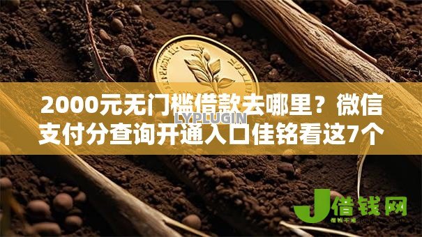 2000元无门槛借款去哪里?微信支付分查询开通入口佳铭看这7个平台 2000元无门槛借款去哪里?微信支付分查询开通入口佳铭看这7个平台
