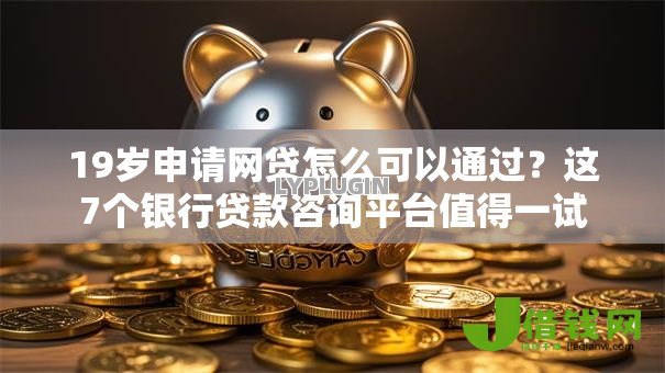 19岁申请网贷怎么可以通过？这7个银行贷款咨询平台值得一试