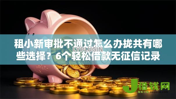 租小新审批不通过怎么办拢共有哪些选择?6个轻松借款无征信记录的平台详解 租小新审批不通过怎么办拢共有哪些选择?6个轻松借款无征信记录的平台详解