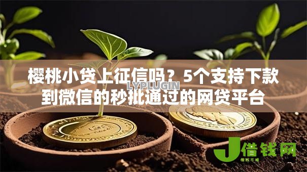 樱桃小贷上征信吗？5个支持下款到微信的秒批通过的网贷平台
