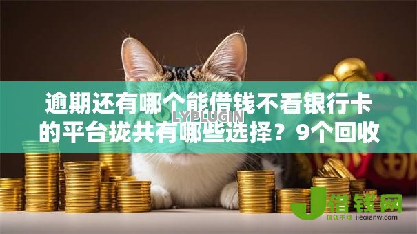 逾期还有哪个能借钱不看银行卡的平台拢共有哪些选择？9个回收类贷款口子详解