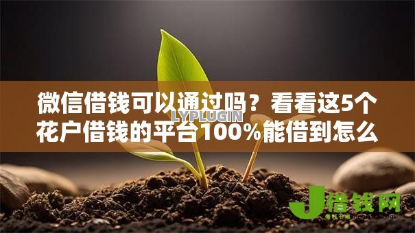 微信借钱可以通过吗？看看这5个花户借钱的平台100%能借到怎么样