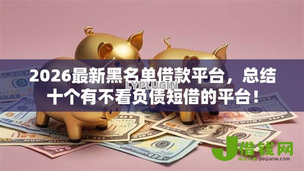 2026最新黑名单借款平台，总结十个有不看负债短借的平台！
