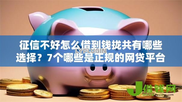 征信不好怎么借到钱拢共有哪些选择？7个哪些是正规的网贷平台详解