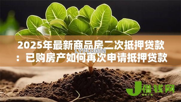 2025年最新商品房二次抵押贷款:已购房产如何再次申请抵押贷款 2025年最新商品房二次抵押贷款:已购房产如何再次申请抵押贷款
