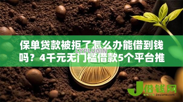 保单贷款被拒了怎么办能借到钱吗？4千元无门槛借款5个平台推荐
