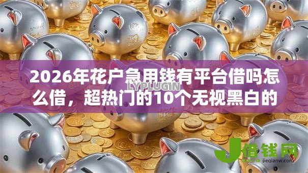 2026年花户急用钱有平台借吗怎么借,超热门的10个无视黑白的网贷软件推荐 2026年花户急用钱有平台借吗怎么借,超热门的10个无视黑白的网贷软件推荐