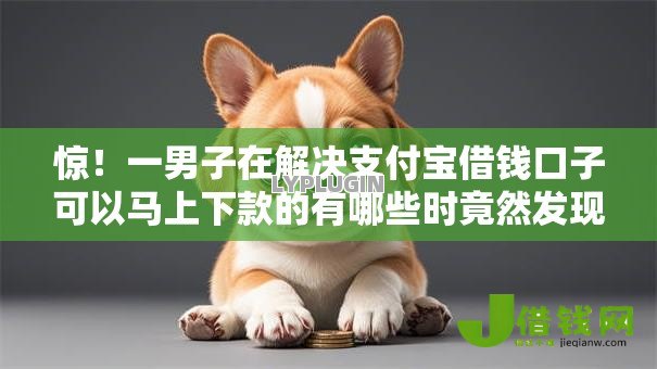 惊！一男子在解决支付宝借钱口子可以马上下款的有哪些时竟然发现6个黑户都能下的平台，事后分享了出来