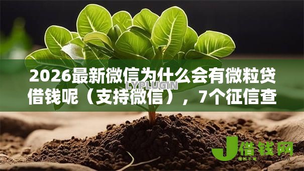 2026最新微信为什么会有微粒贷借钱呢(支持微信),7个征信查询多被封空有下款的小额短期网贷口子无私分享 2026最新微信为什么会有微粒贷借钱呢(支持微信),7个征信查询多被封空有下款的小额短期网贷口子无私分享