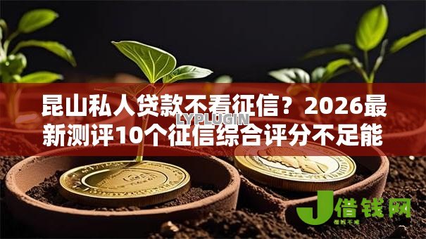 昆山私人贷款不看征信？2026最新测评10个征信综合评分不足能下款的平台