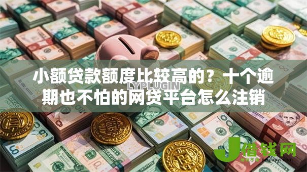 小额贷款额度比较高的?十个逾期也不怕的网贷平台怎么注销 小额贷款额度比较高的?十个逾期也不怕的网贷平台怎么注销
