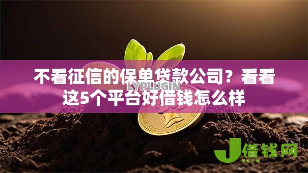 不看征信的保单贷款公司？看看这5个平台好借钱怎么样
