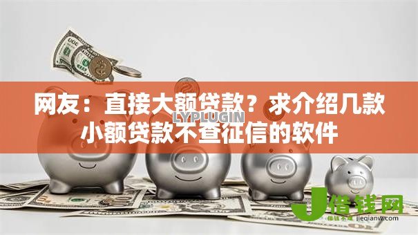 网友：直接大额贷款？求介绍几款小额贷款不查征信的软件