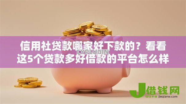 信用社贷款哪家好下款的？看看这5个贷款多好借款的平台怎么样