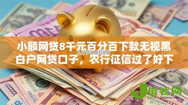 小额网贷8千元百分百下款无视黑白户网贷口子，农行征信过了好下款吗知乎的7个平台介绍