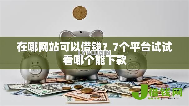 在哪网站可以借钱？7个平台试试看哪个能下款