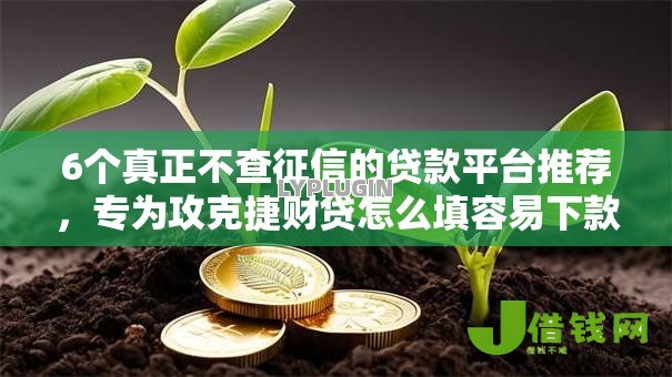 6个真正不查征信的贷款平台推荐，专为攻克捷财贷怎么填容易下款难题