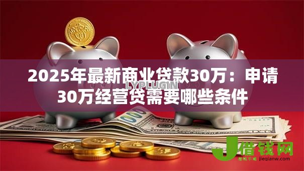 2025年最新商业贷款30万：申请30万经营贷需要哪些条件