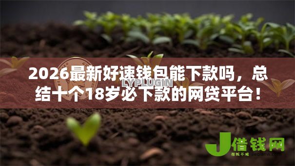 2026最新好速钱包能下款吗，总结十个18岁必下款的网贷平台！