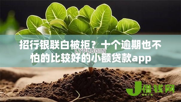 招行银联白被拒?十个逾期也不怕的比较好的小额贷款app 招行银联白被拒?十个逾期也不怕的比较好的小额贷款app