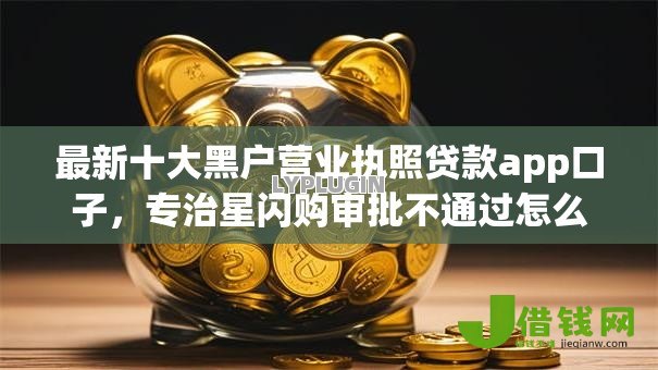 最新十大黑户营业执照贷款app口子，专治星闪购审批不通过怎么办