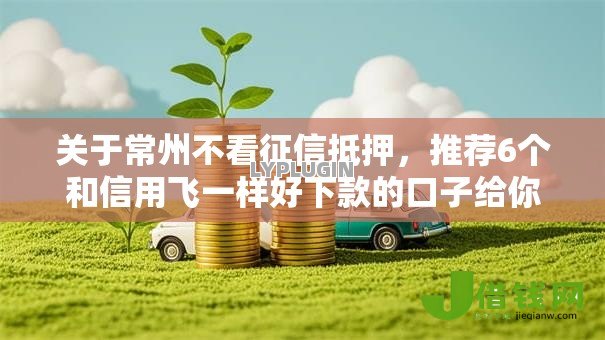 关于常州不看征信抵押,推荐6个和信用飞一样好下款的口子给你 关于常州不看征信抵押,推荐6个和信用飞一样好下款的口子给你