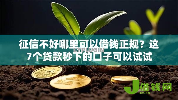 征信不好哪里可以借钱正规?这7个贷款秒下的口子可以试试 征信不好哪里可以借钱正规?这7个贷款秒下的口子可以试试