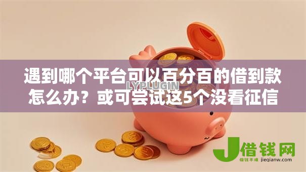 遇到哪个平台可以百分百的借到款怎么办?或可尝试这5个没看征信的平台 遇到哪个平台可以百分百的借到款怎么办?或可尝试这5个没看征信的平台