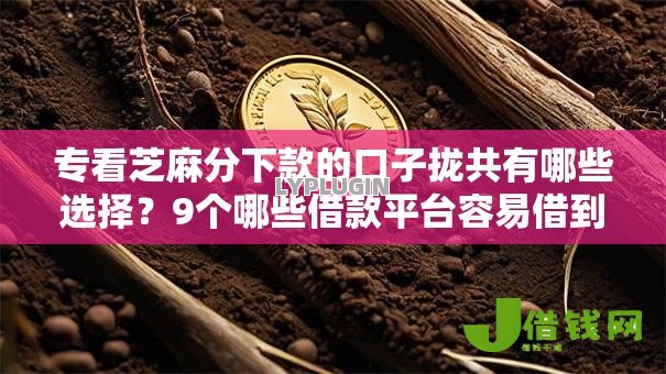 专看芝麻分下款的口子拢共有哪些选择?9个哪些借款平台容易借到钱详解 专看芝麻分下款的口子拢共有哪些选择?9个哪些借款平台容易借到钱详解