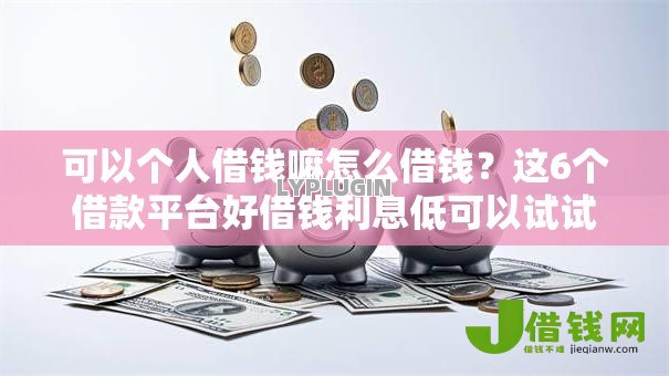 可以个人借钱嘛怎么借钱？这6个借款平台好借钱利息低可以试试