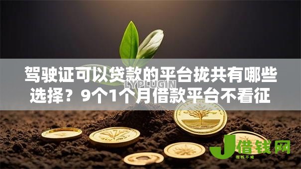 驾驶证可以贷款的平台拢共有哪些选择?9个1个月借款平台不看征信详解 驾驶证可以贷款的平台拢共有哪些选择?9个1个月借款平台不看征信详解