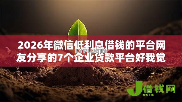 2026年微信低利息借钱的平台网友分享的7个企业贷款平台好我觉得不错！