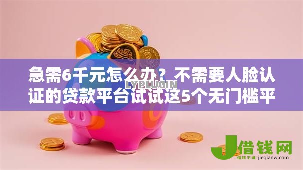 急需6千元怎么办？不需要人脸认证的贷款平台试试这5个无门槛平台