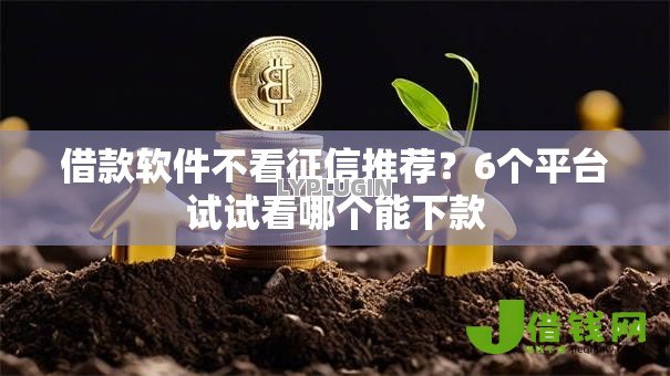 借款软件不看征信推荐？6个平台试试看哪个能下款