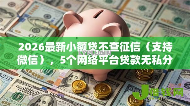 2026最新小额贷不查征信（支持微信），5个网络平台贷款无私分享