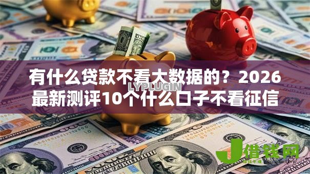 有什么贷款不看大数据的？2026最新测评10个什么口子不看征信必下款