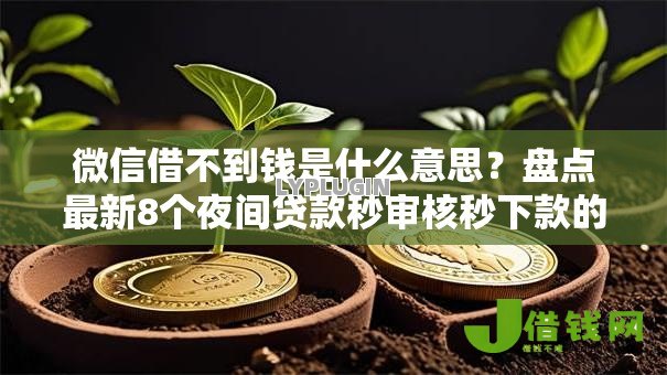 微信借不到钱是什么意思?盘点最新8个夜间贷款秒审核秒下款的平台 微信借不到钱是什么意思?盘点最新8个夜间贷款秒审核秒下款的平台
