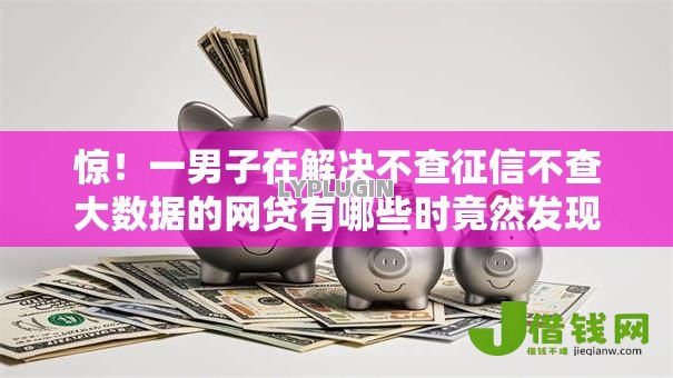 惊！一男子在解决不查征信不查大数据的网贷有哪些时竟然发现7个花户下款的口子2025，事后分享了出来