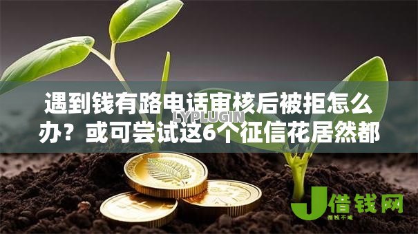 遇到钱有路电话审核后被拒怎么办？或可尝试这6个征信花居然都下款了的口子