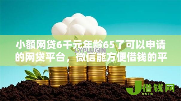 小额网贷6千元年龄65了可以申请的网贷平台，微信能方便借钱的平台的7个平台介绍