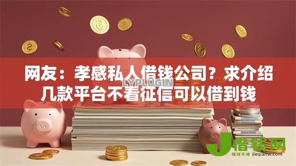 网友:孝感私人借钱公司?求介绍几款平台不看征信可以借到钱 网友:孝感私人借钱公司?求介绍几款平台不看征信可以借到钱