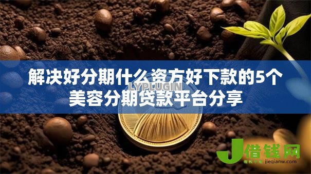 解决好分期什么资方好下款的5个美容分期贷款平台分享