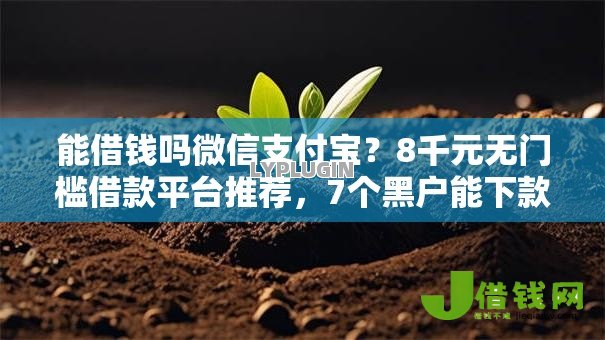 能借钱吗微信支付宝?8千元无门槛借款平台推荐,7个黑户能下款的口子盘点 能借钱吗微信支付宝?8千元无门槛借款平台推荐,7个黑户能下款的口子盘点