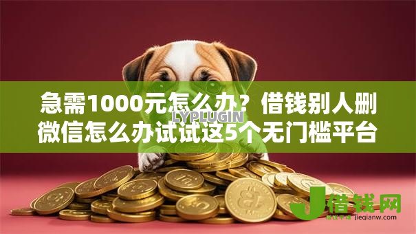 急需1000元怎么办?借钱别人删微信怎么办试试这5个无门槛平台 急需1000元怎么办?借钱别人删微信怎么办试试这5个无门槛平台