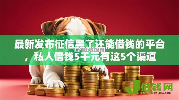 最新发布征信黑了还能借钱的平台，私人借钱5千元有这5个渠道