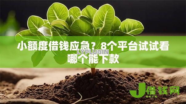 小额度借钱应急？8个平台试试看哪个能下款